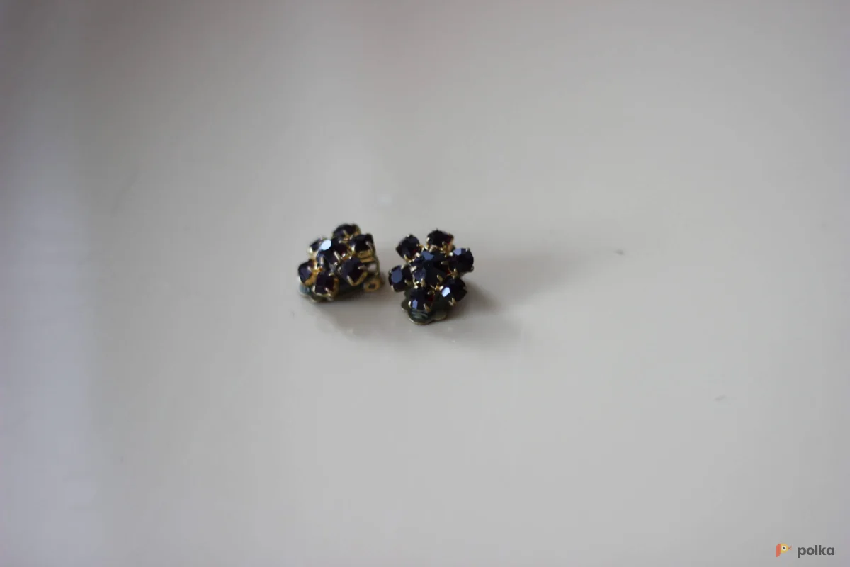 Возьмите Винтажные клипсы напрокат (Фото 1) В Нижнем Новгороде