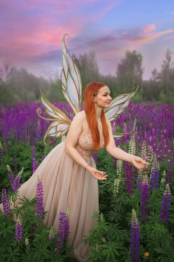 Возьмите Крылья Феи напрокат (Фото 1) В Нижнем Новгороде