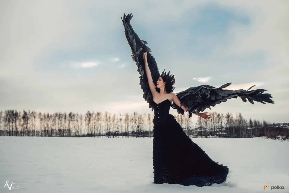 Возьмите Крылья черные напрокат (Фото 1) В Нижнем Новгороде