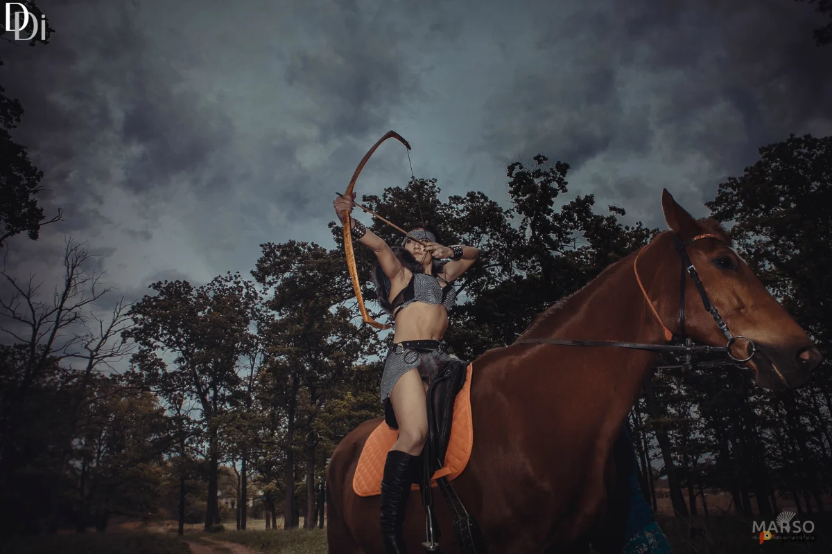 Возьмите Лук обратно-выгибной напрокат (Фото 1) В Нижнем Новгороде