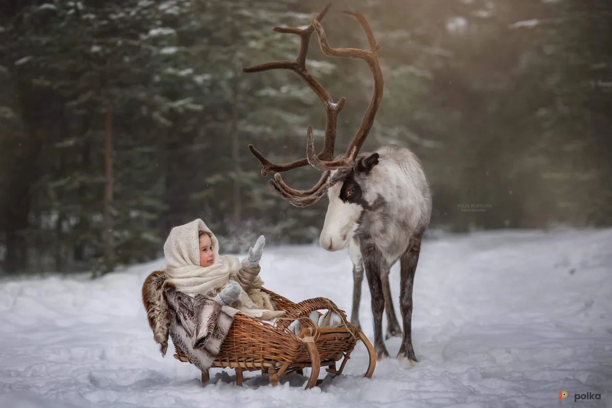 Возьмите Сани детские напрокат (Фото 1) В Нижнем Новгороде