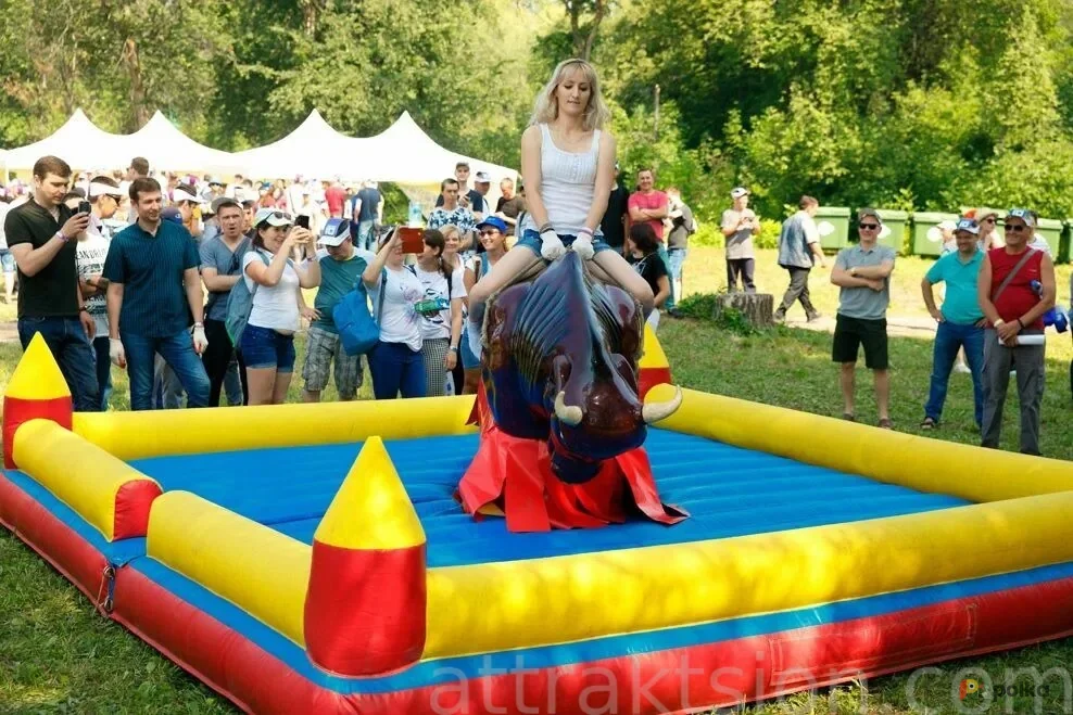 Возьмите Бык родео напрокат (Фото 1) В Екатеринбурге