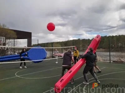 Возьмите Ракетки игровые гигантские напрокат (Фото 1) В Екатеринбурге
