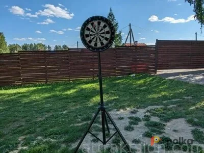 Возьмите Дартс профессиональный напрокат (Фото 1) В Екатеринбурге