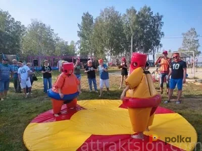 Возьмите Сумо напрокат (Фото 1) В Екатеринбурге