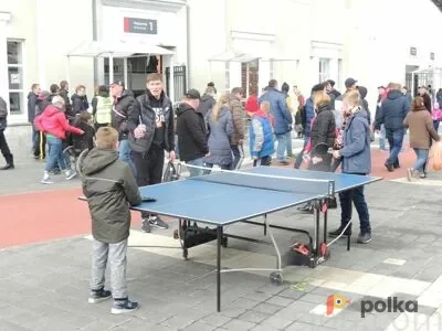 Возьмите Теннисный стол напрокат (Фото 1) В Екатеринбурге