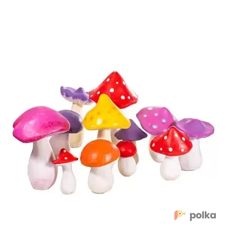 Возьмите Грибы маленькие в ассортименте напрокат (Фото 1) В Краснодаре