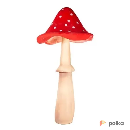 Возьмите Гриб "Мухомор" напрокат (Фото 1) В Краснодаре