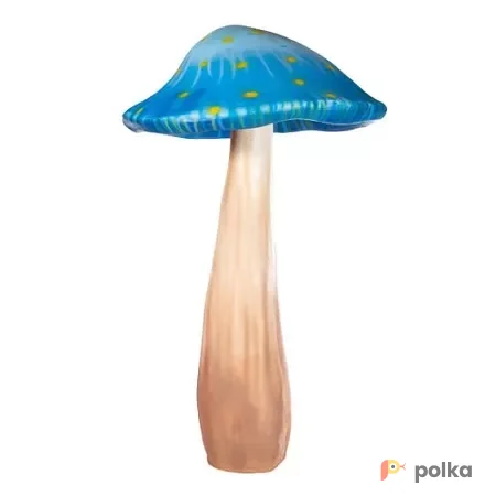 Возьмите Гриб "Синий" напрокат (Фото 1) В Краснодаре