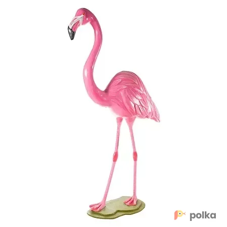Возьмите Фламинго напрокат (Фото 1) В Краснодаре