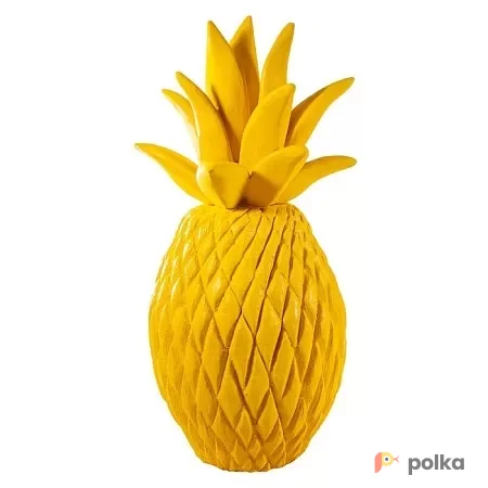 Возьмите Ананас напрокат (Фото 1) В Краснодаре