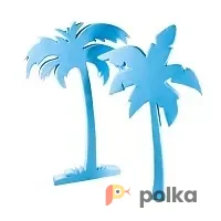 Возьмите Пальма синяя 2 напрокат (Фото 1) В Краснодаре