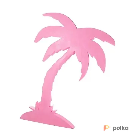 Возьмите Пальма розовая 2 напрокат (Фото 1) В Краснодаре