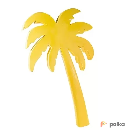 Возьмите Пальма желтая высокая напрокат (Фото 1) В Краснодаре