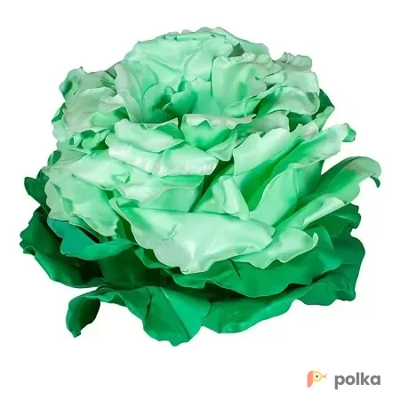 Возьмите Капуста для выката именинника напрокат (Фото 1) В Краснодаре