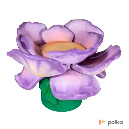 Возьмите Цветок для выката напрокат (Фото 1) В Краснодаре