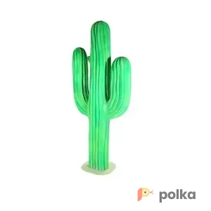 Возьмите Кактус гигант1 напрокат (Фото 1) В Краснодаре