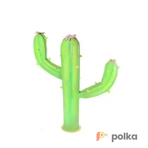 Возьмите Кактус 3 напрокат (Фото 1) В Краснодаре