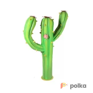 Возьмите Кактус 2 напрокат (Фото 1) В Краснодаре