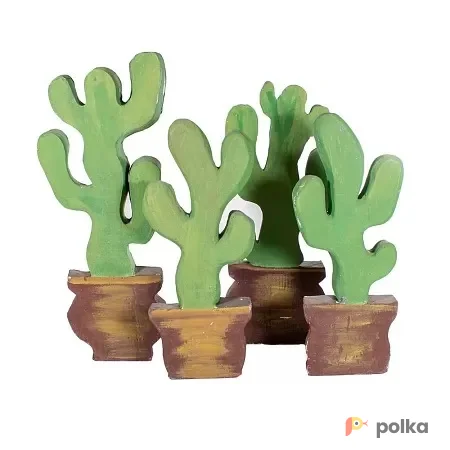 Возьмите Кактусы 2D напрокат (Фото 1) В Краснодаре