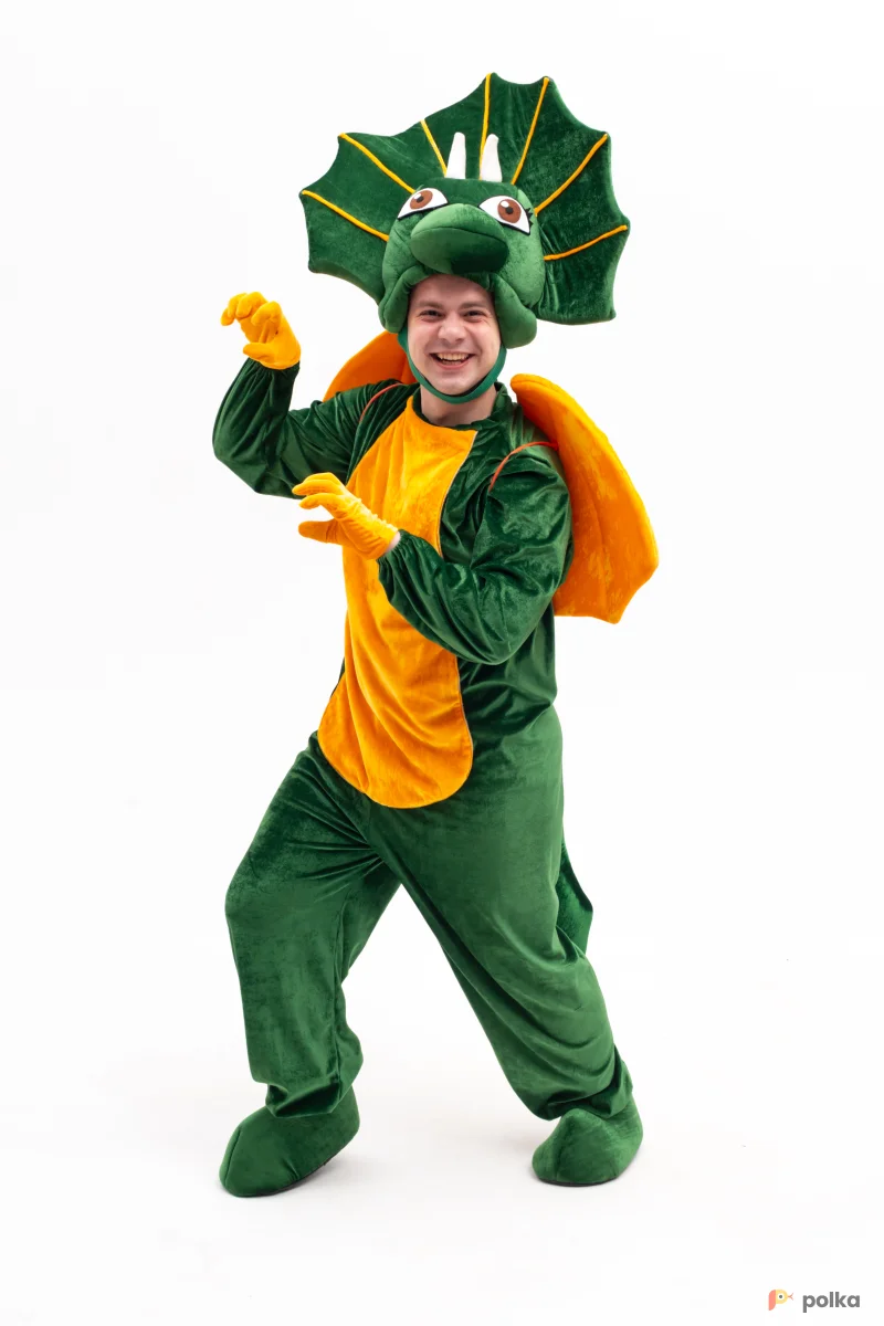 Возьмите Костюм дракон напрокат (Фото 1) в Москве