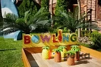 Возьмите Боулинг напрокат (Фото 1) В Краснодаре