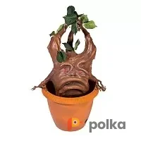 Возьмите Корень Мандрагоры напрокат (Фото 1) В Краснодаре