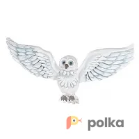 Возьмите Сова Гарри Поттера напрокат (Фото 1) В Краснодаре