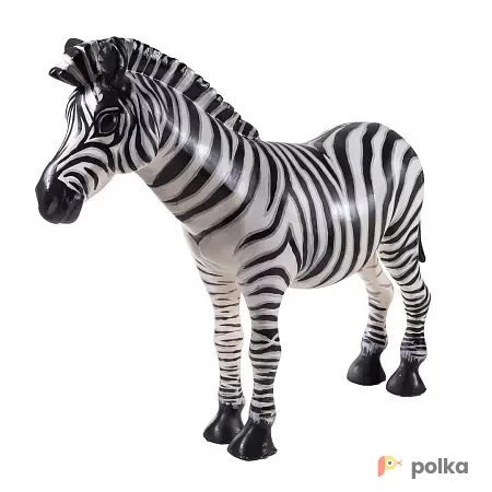 Возьмите Зебра напрокат (Фото 1) В Краснодаре