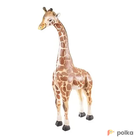 Возьмите Жираф напрокат (Фото 1) В Краснодаре