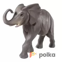 Возьмите Слон напрокат (Фото 1) В Краснодаре