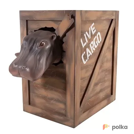 Возьмите Бегемот в ящике напрокат (Фото 1) В Краснодаре