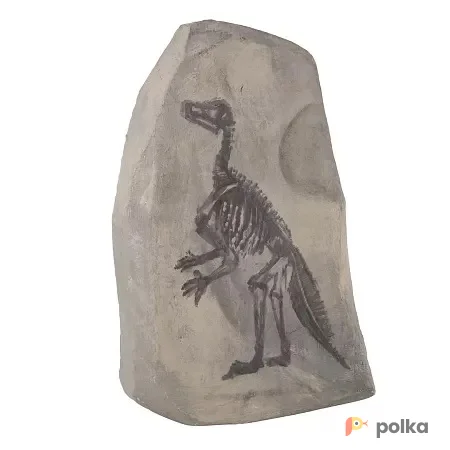 Возьмите Камень с рисунком динозавра напрокат (Фото 1) В Краснодаре