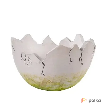 Возьмите Яйцо динозавра половинка напрокат (Фото 1) В Краснодаре