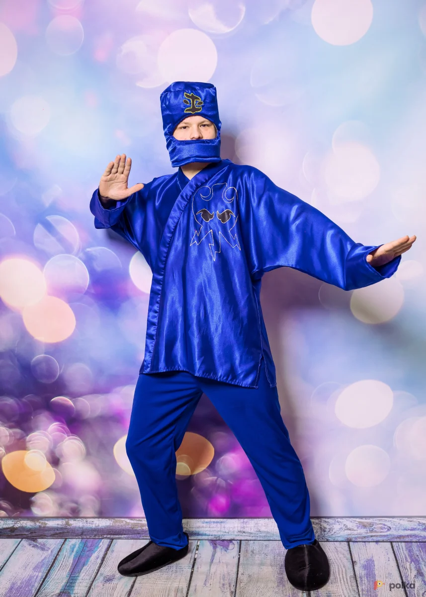 Возьмите Синий ниндзя напрокат (Фото 1) в Москве