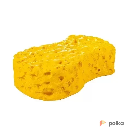 Возьмите Губка желтая напрокат (Фото 1) В Краснодаре