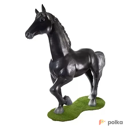 Возьмите Конь черный напрокат (Фото 1) В Краснодаре
