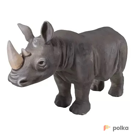 Возьмите Носорог напрокат (Фото 1) В Краснодаре