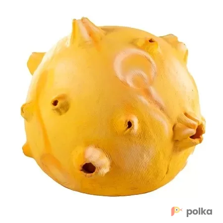 Возьмите Луна маленького принца напрокат (Фото 1) В Краснодаре