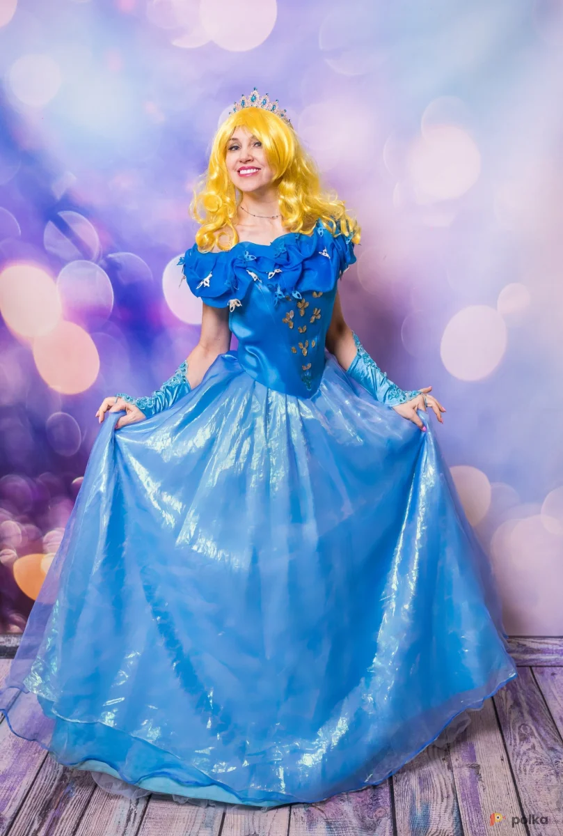 Возьмите Золушка вип костюм напрокат (Фото 1) в Москве