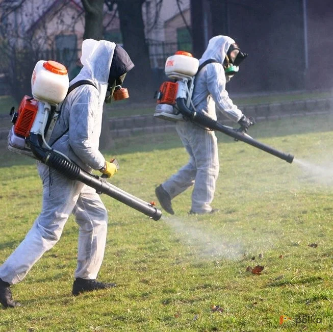Возьмите Антивирусная обработка территории и помещений напрокат (Фото 1) в Москве