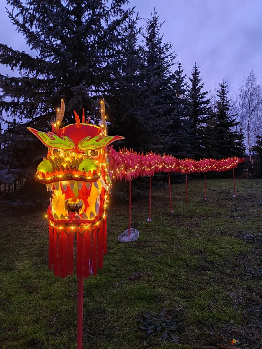 Возьмите Китайский дракон напрокат (Фото 1) в Москве