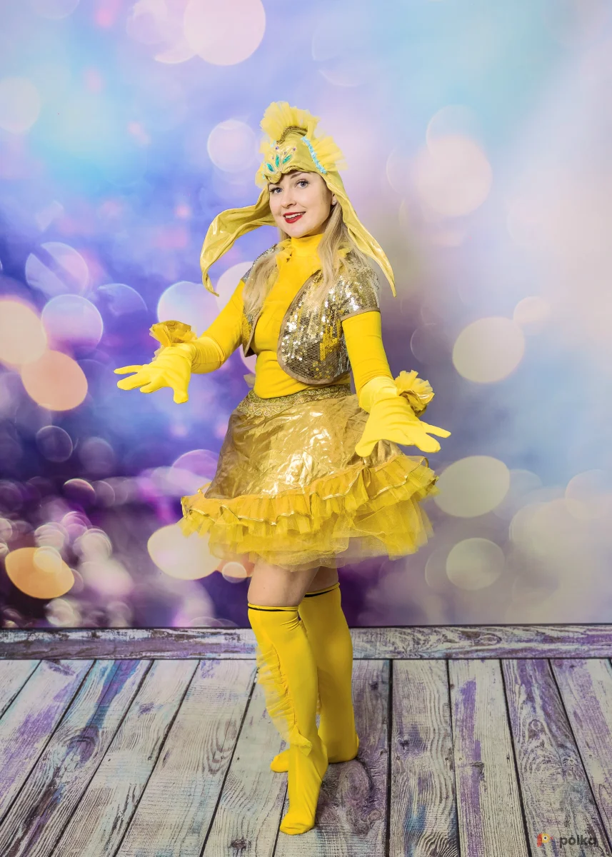 Возьмите Костюм золотая рыбка напрокат (Фото 1) в Москве