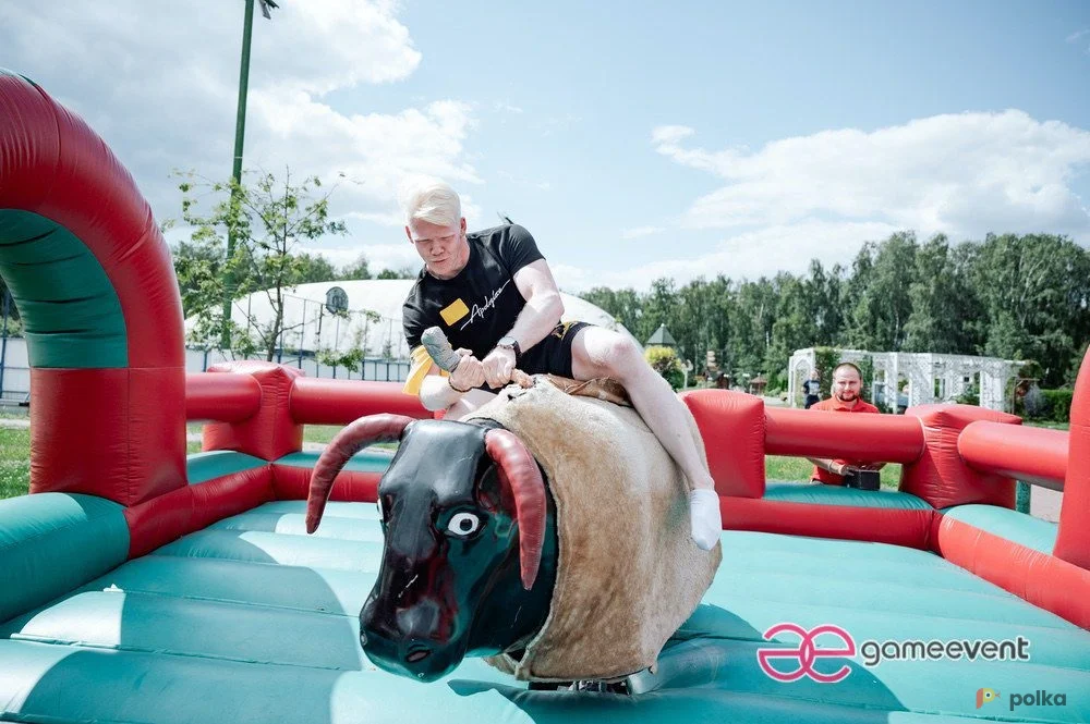 Возьмите Бык родео (квадратная подушка) напрокат (Фото 1) в Москве