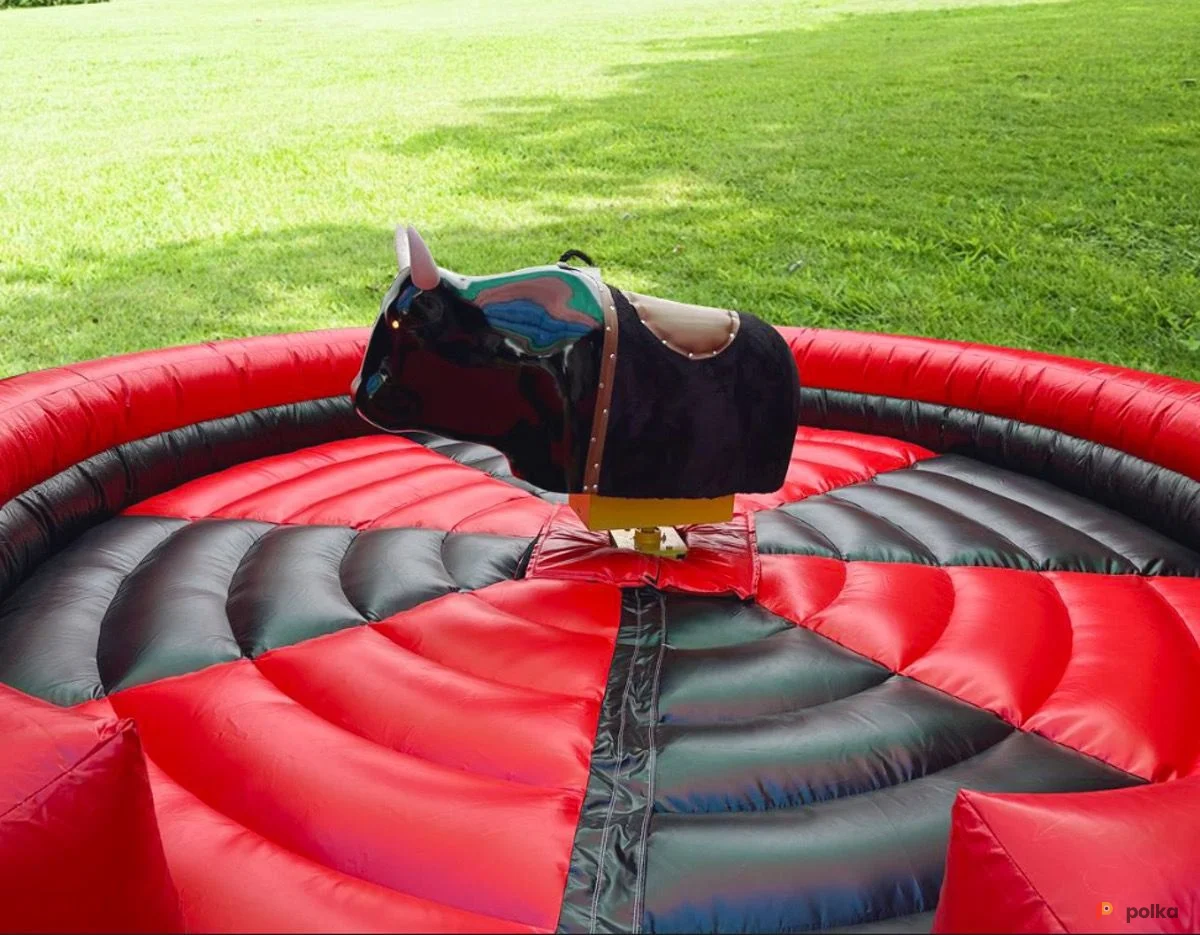 Возьмите Бык Родео QR напрокат (Фото 1) в Москве