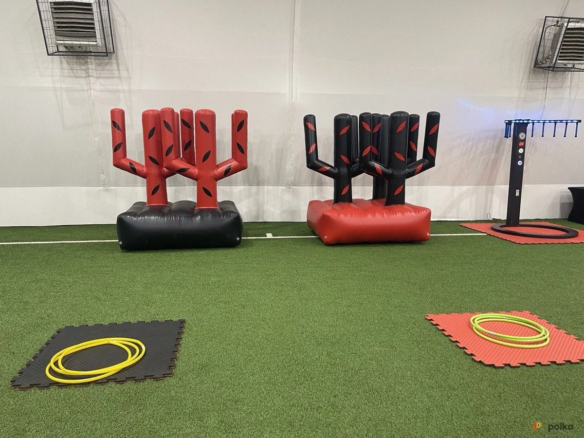 Возьмите Кактусы QR напрокат (Фото 1) в Москве