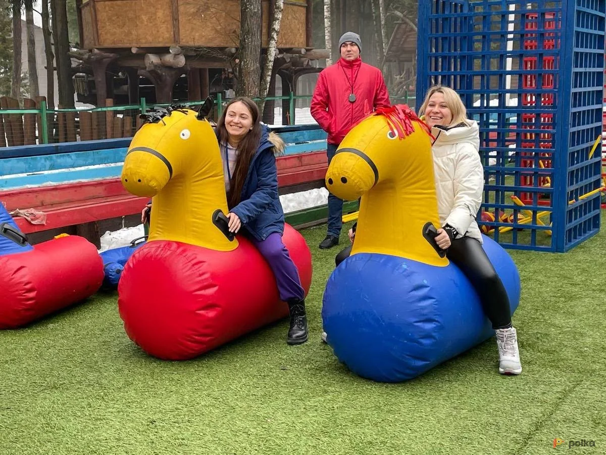 Возьмите НАДУВНЫЕ ЛОШАДКИ напрокат (Фото 1) в Москве