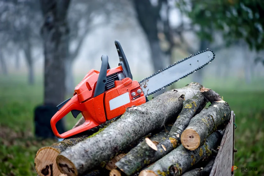 Возьмите Бензопила STIHL MS 250 напрокат (Фото 1) В Сочи