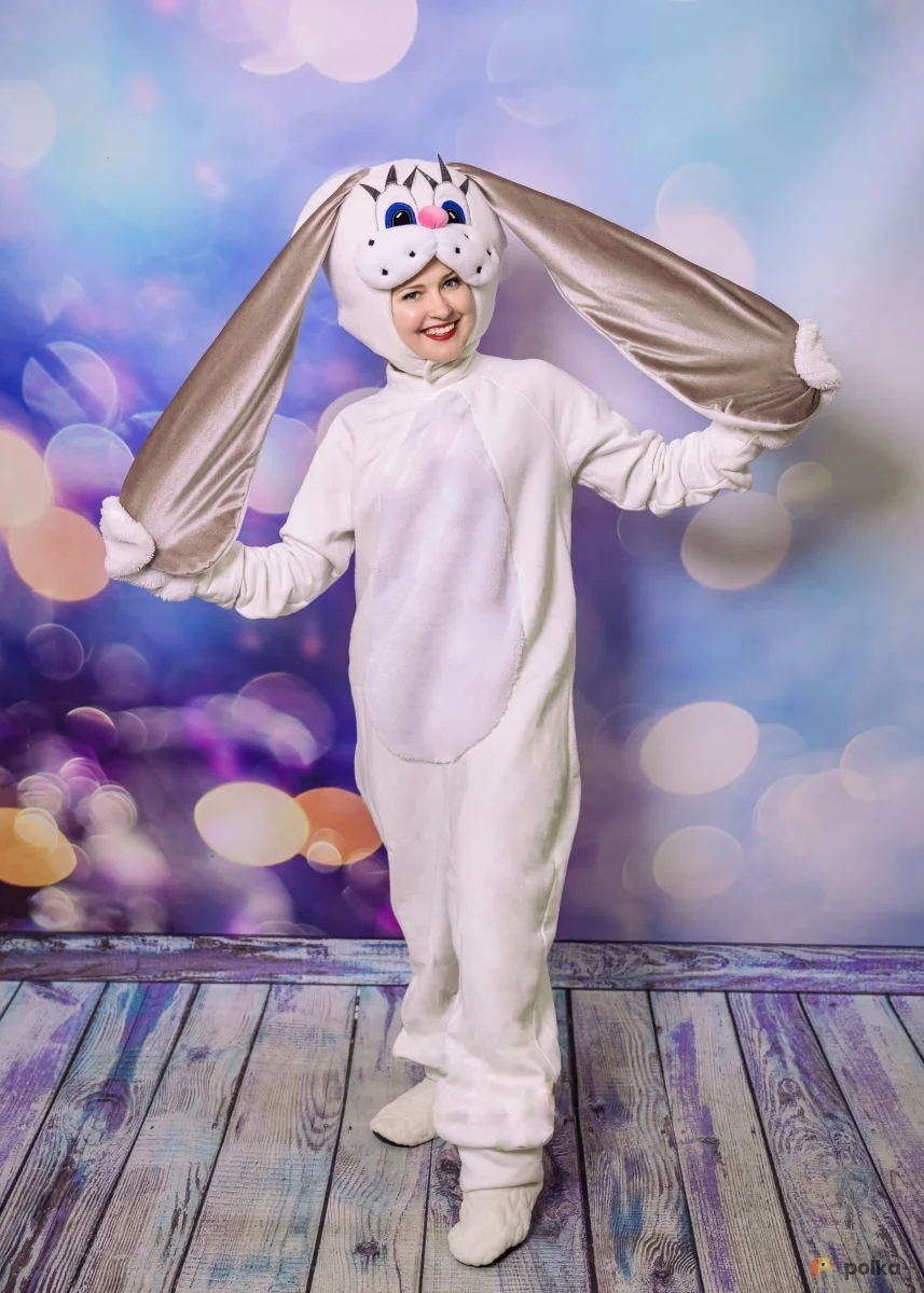 Возьмите Зайка костюм напрокат (Фото 1) в Москве