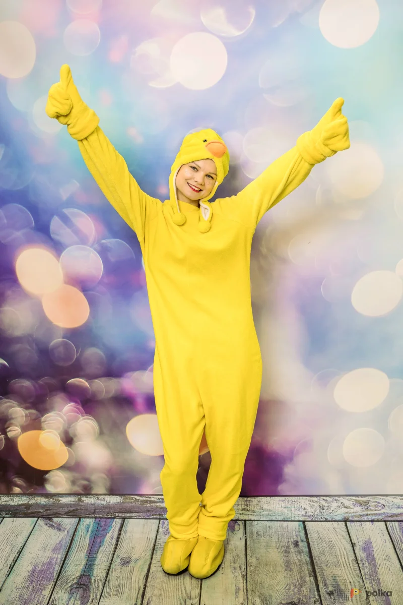 Возьмите Уточка костюм напрокат (Фото 1) в Москве